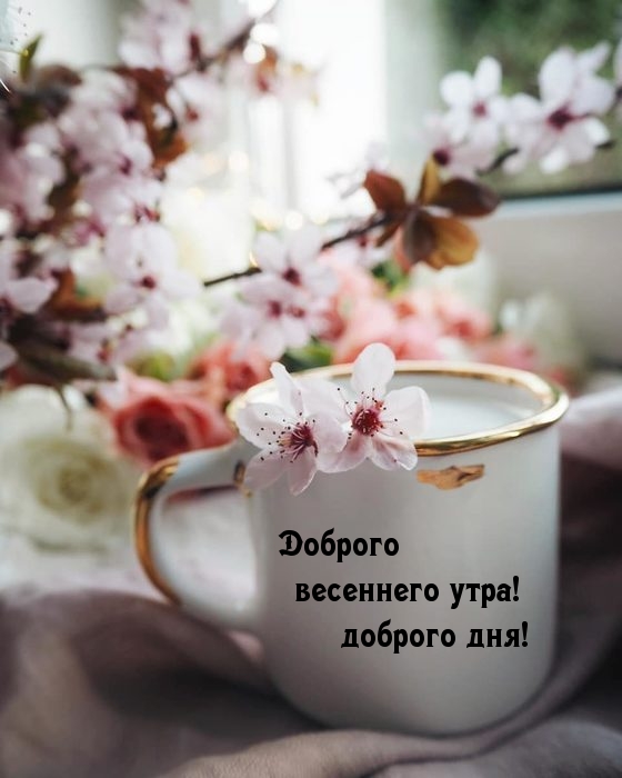 Доброго весеннего утра! доброго дня!.