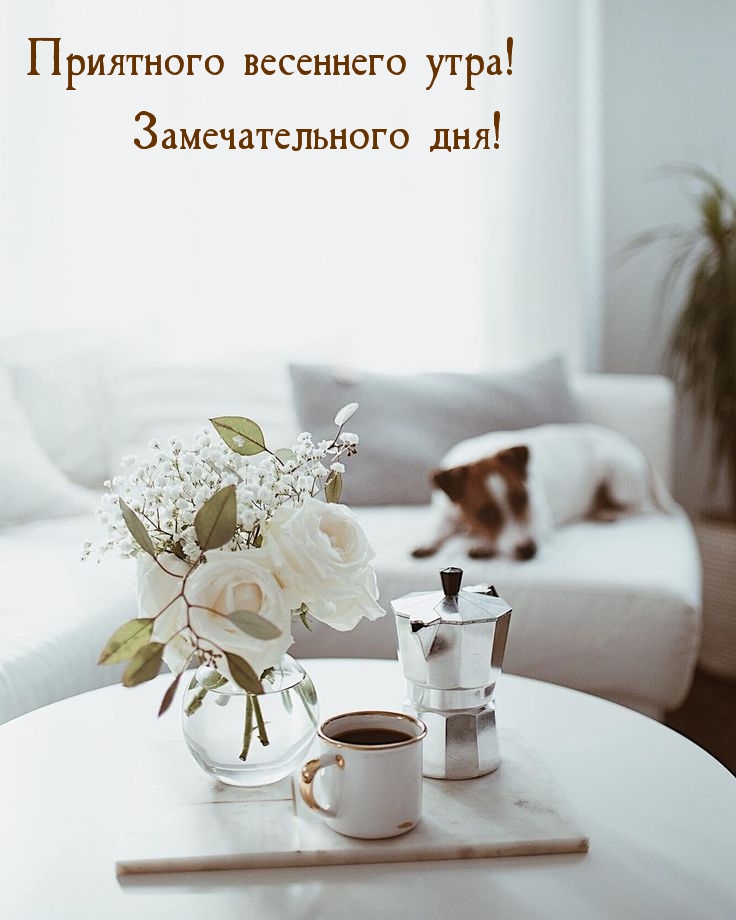Приятного весеннего утра! Замечательного дня!