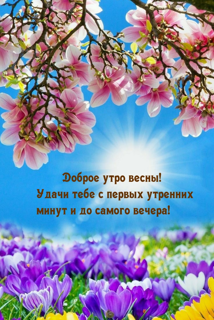 Картинка с надписью: Удачи тебе с первых утренних минут и до самого вечера!