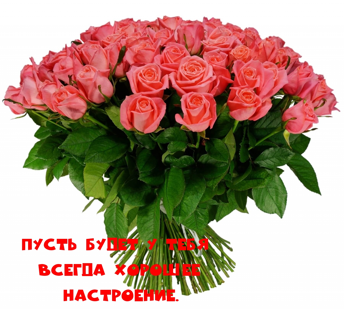Пусть будет у тебя всегда хорошее настроение.