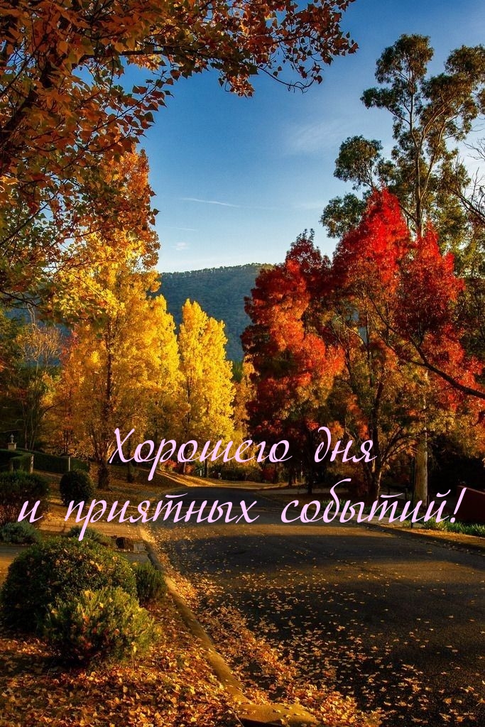 Хорошего дня и приятных событий!.
