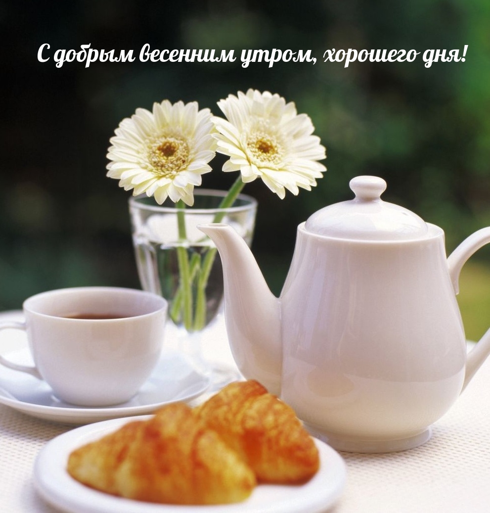 С добрым весенним утром, хорошего дня!