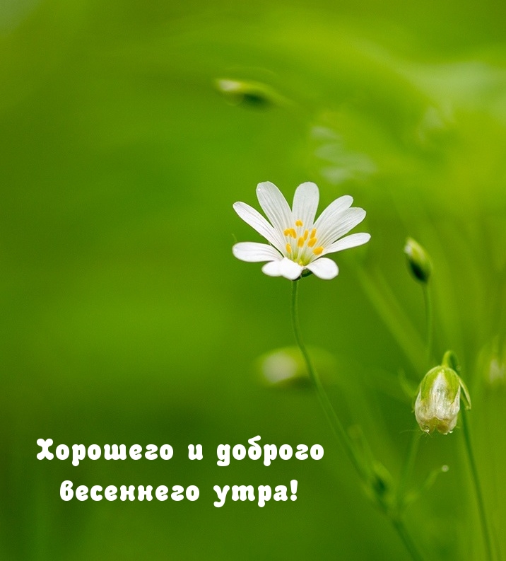   :     !