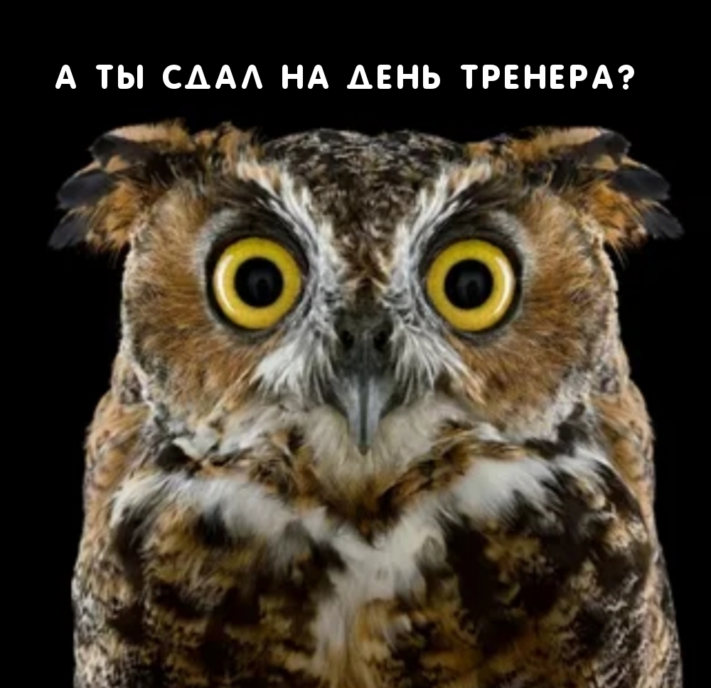 А ты сдал на день тренера?