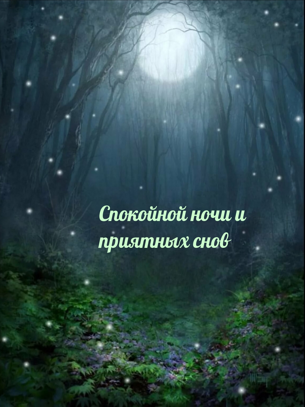 Спокойной ночи и приятных снов