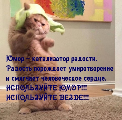 Картинки с надписями Юмор – катализатор радости. ИСПОЛЬЗУЙТЕ ЮМОР!!!
