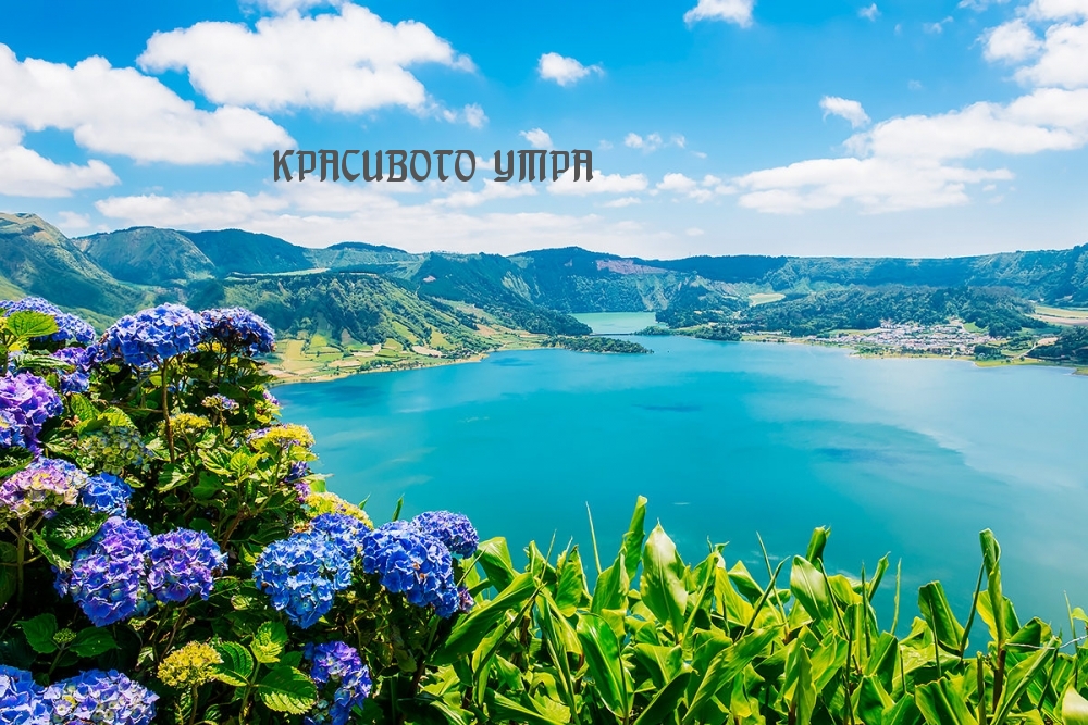 КРАСИВОГО УТРА