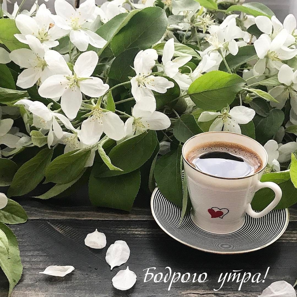 Картинка с надписью: Бодрого утра!