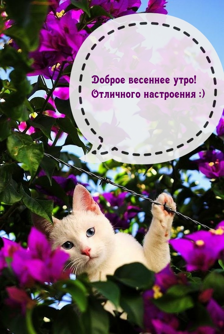   :   !   :)
