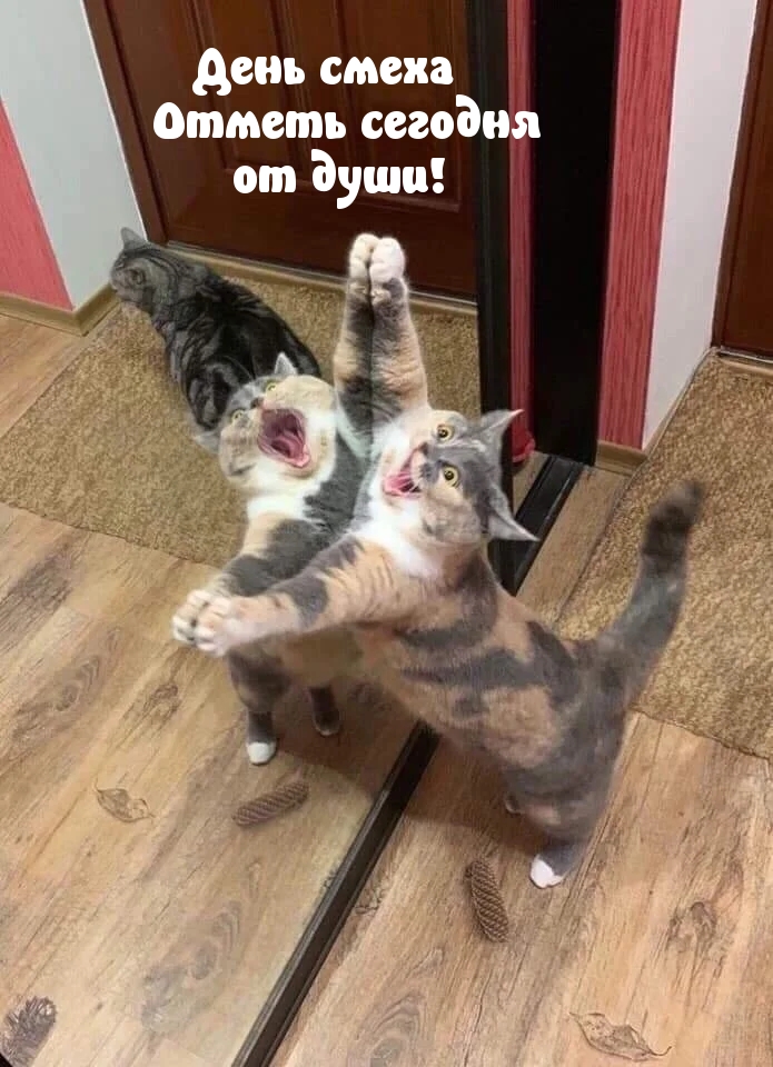   :      !