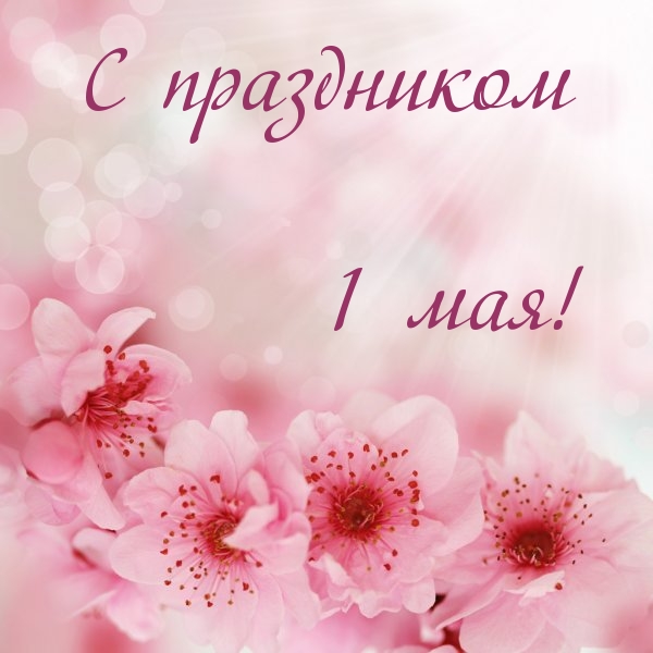   1 !.