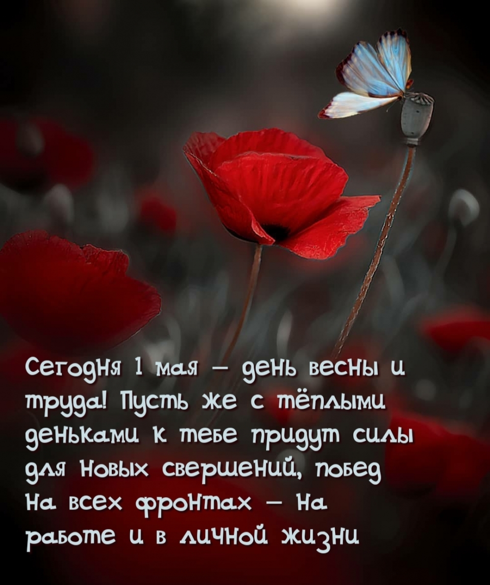  1  -    !