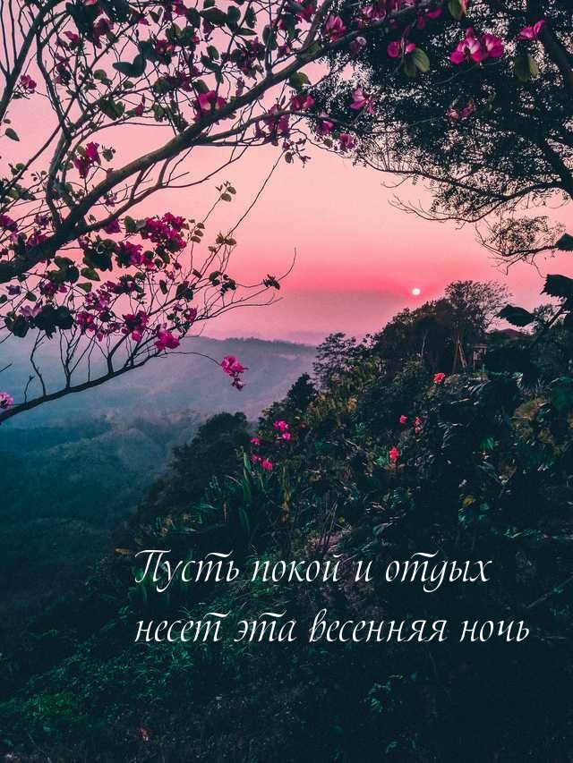   :        