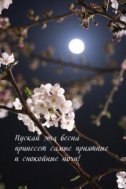         !.