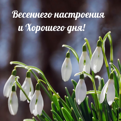     !.
