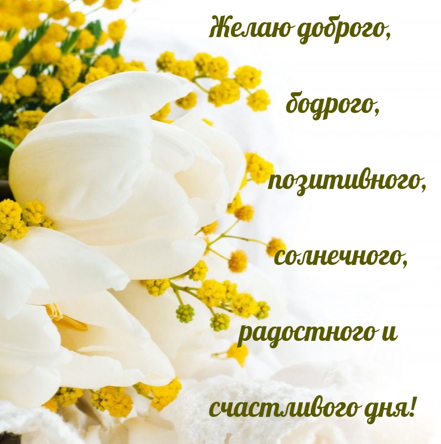   :   !