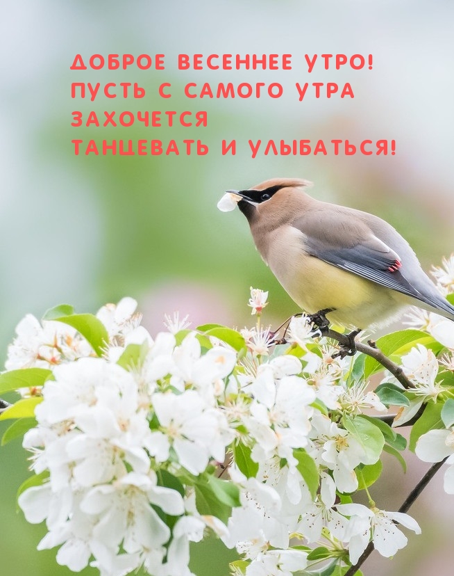   :   !    ...
