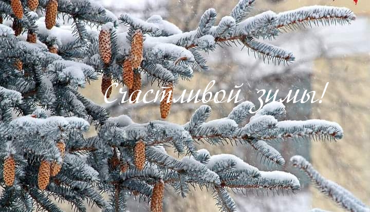 Счастливой зимы!.