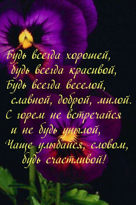   :   ,   ...