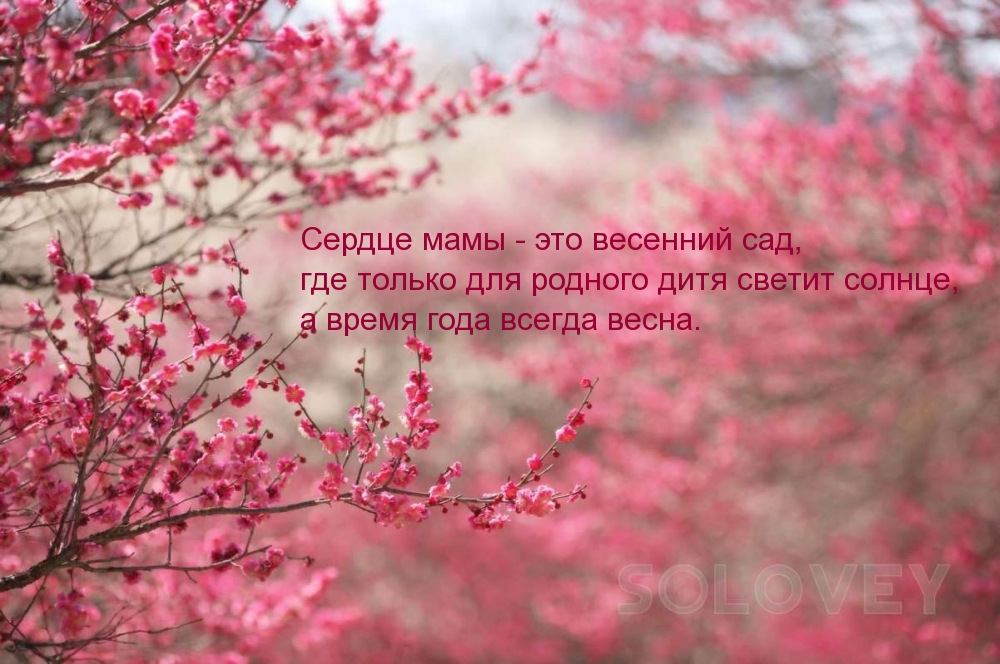   :   -   ...