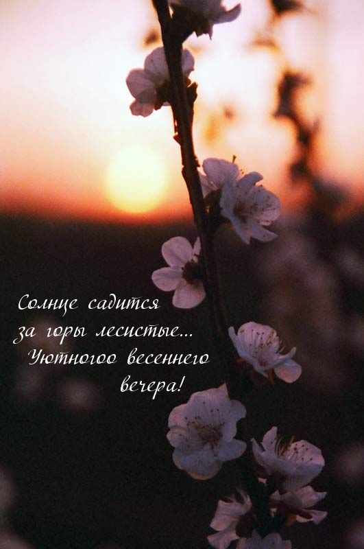     ...   !.