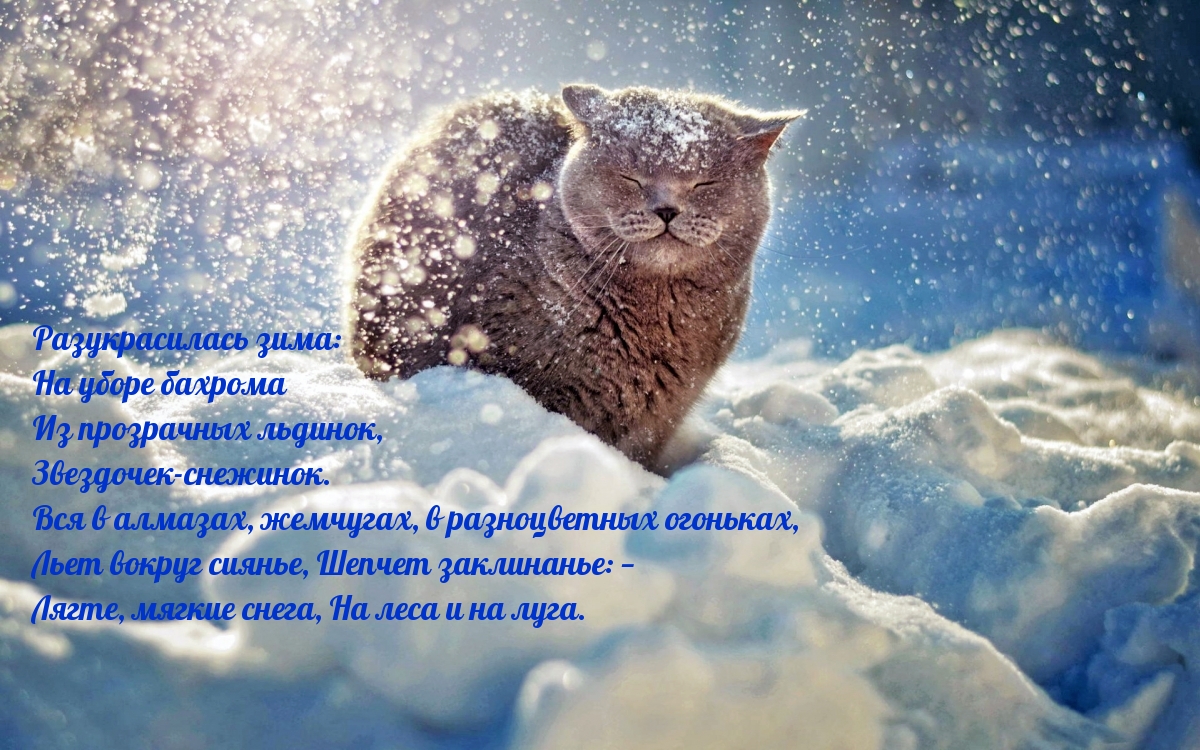 Разукрасилась зима:  на уборе бахрома...