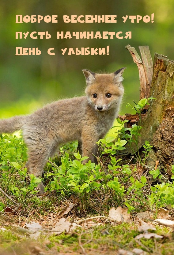   !     !.