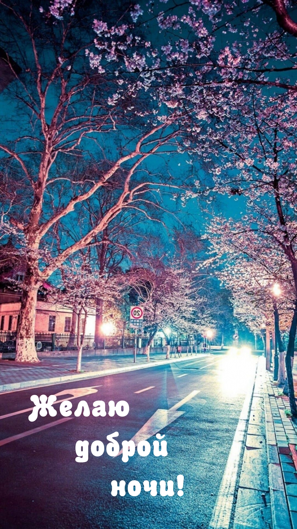   :   !