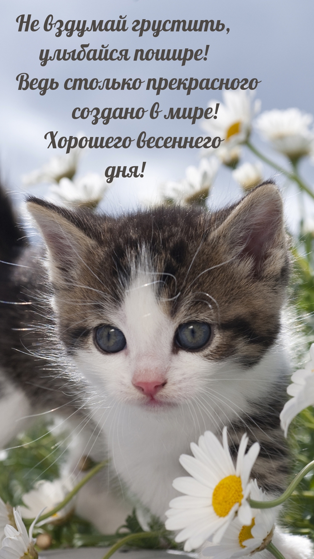 Улыбайся пошире! Хорошего весеннего дня!