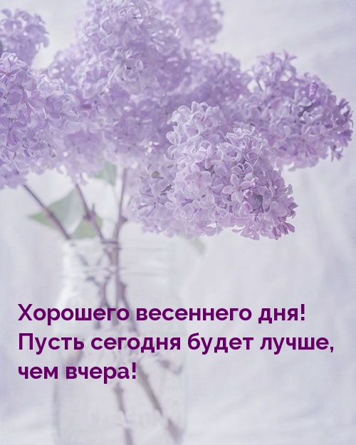   !      !.