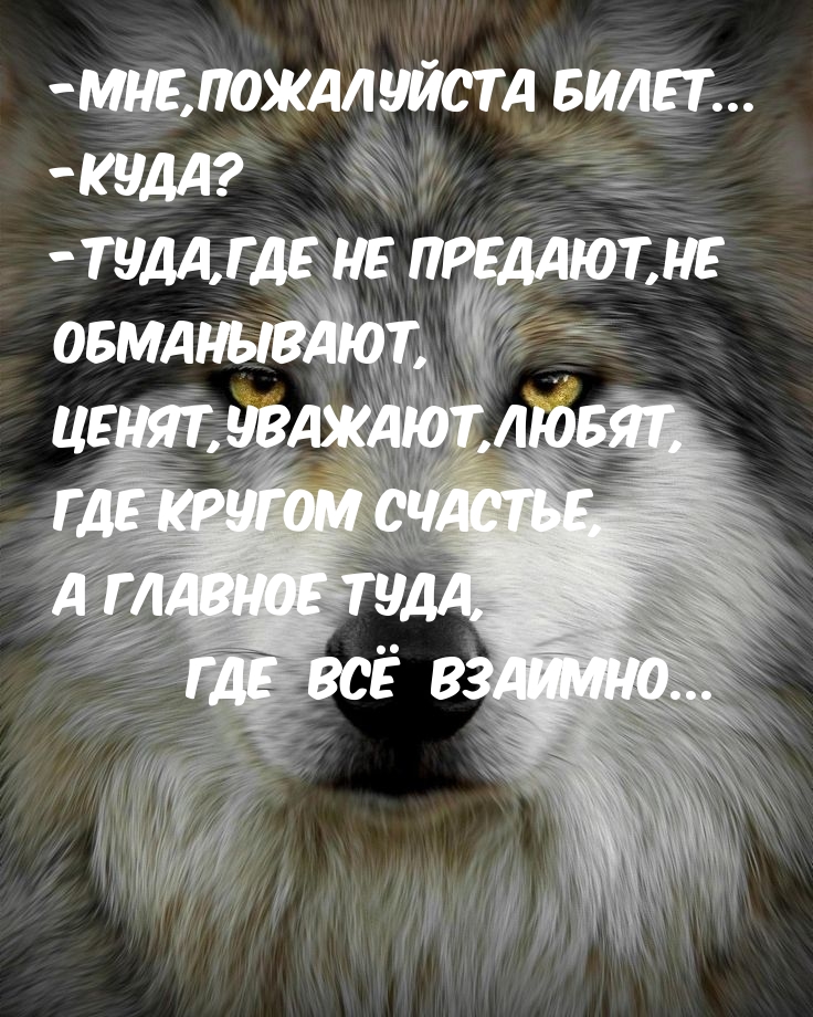   : -, ...