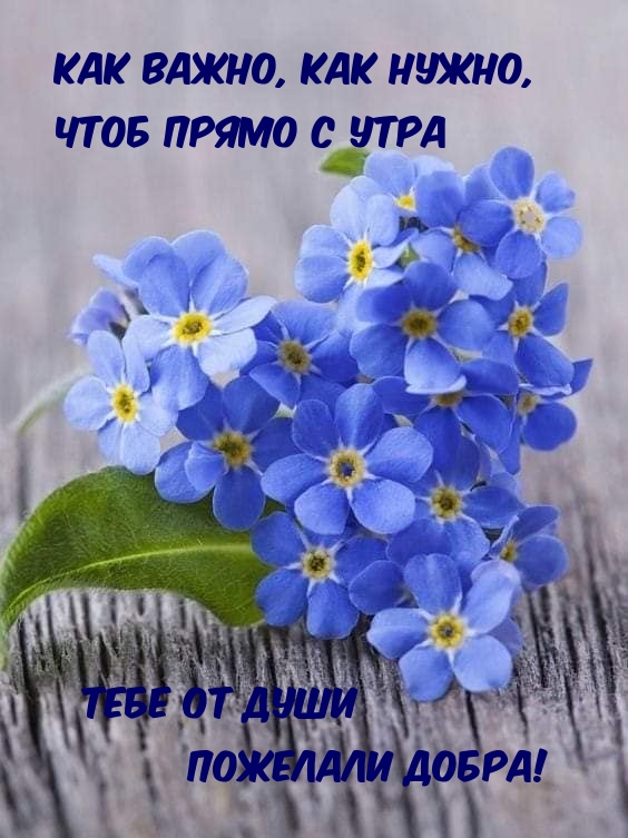 Как важно, как нужно, чтоб прямо с утра....