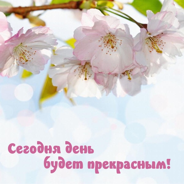    !.