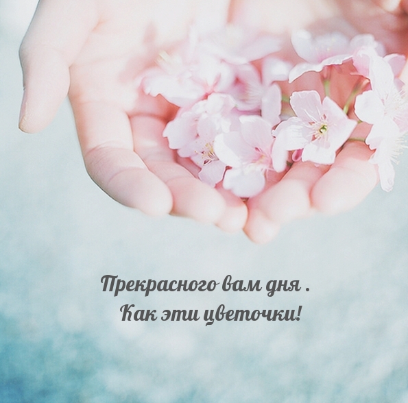   .   !.