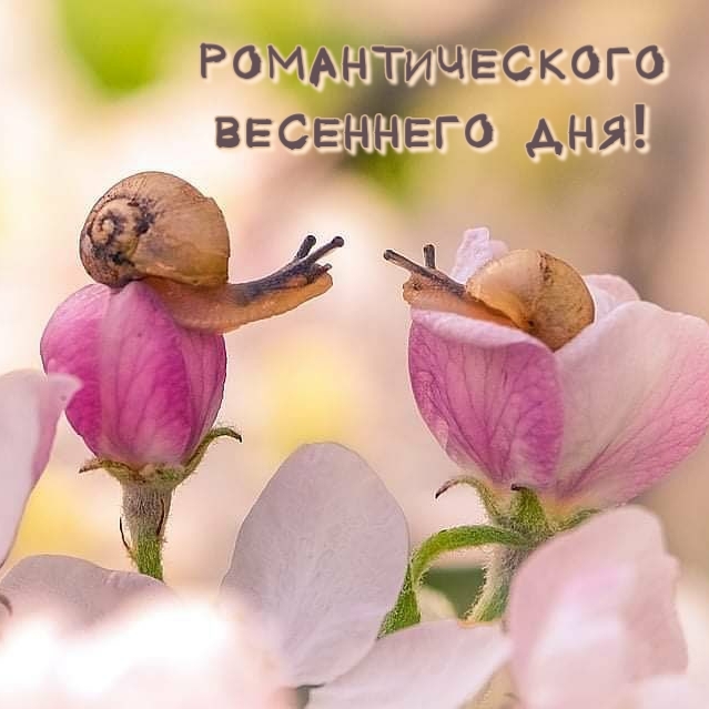  :   !