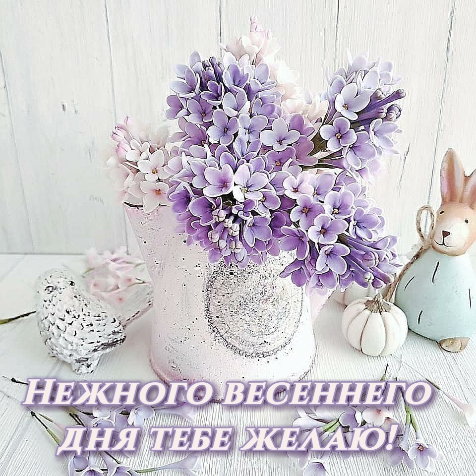   :     !