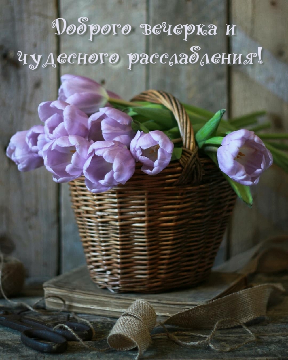 imagetext_ru_24112.jpg