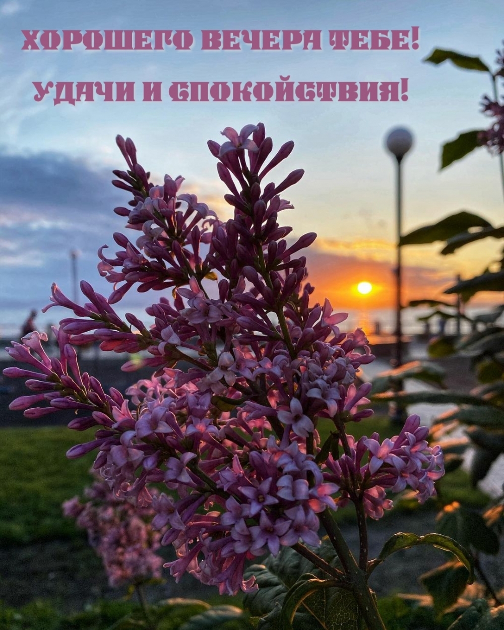 Хорошего вечера тебе! Удачи и спокойствия!