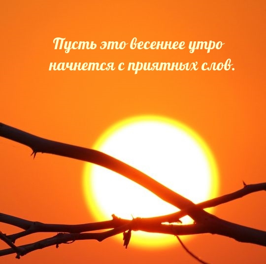        ..