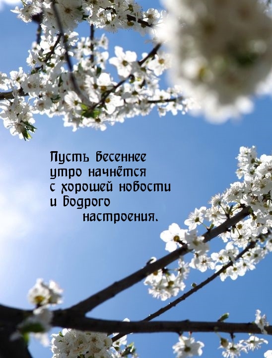 С весенней средой картинки с надписями. Доброе утро с весной. Доброе утро пусть начнется с весны. Доброе Весеннее утро.