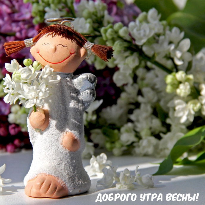 Доброго утра весны!.