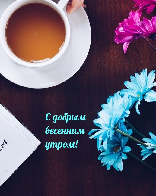 С добрым весенним утром!.