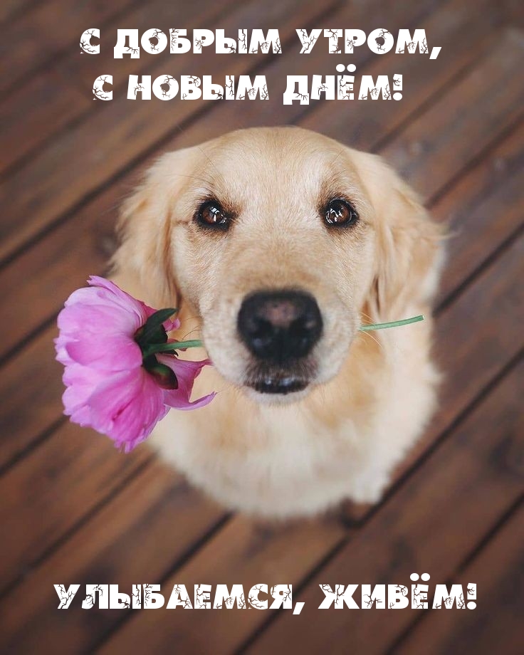   :   ,   ! , !