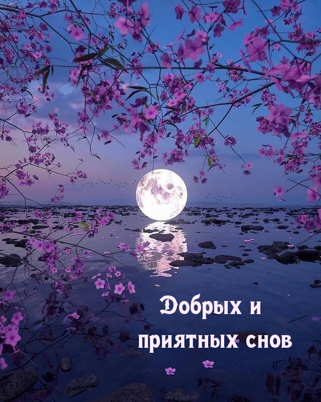   :    