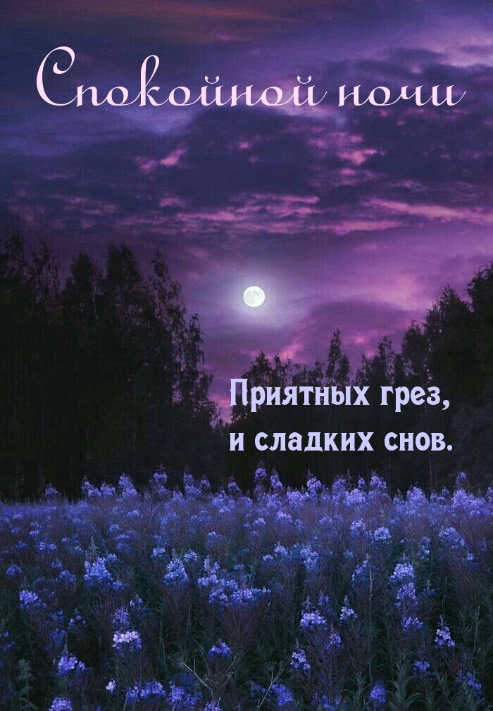   :  ,   .  