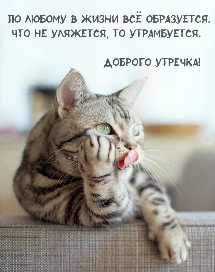   :  !      .