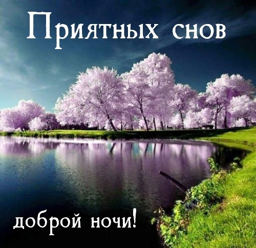 Приятных снов доброй ночи.