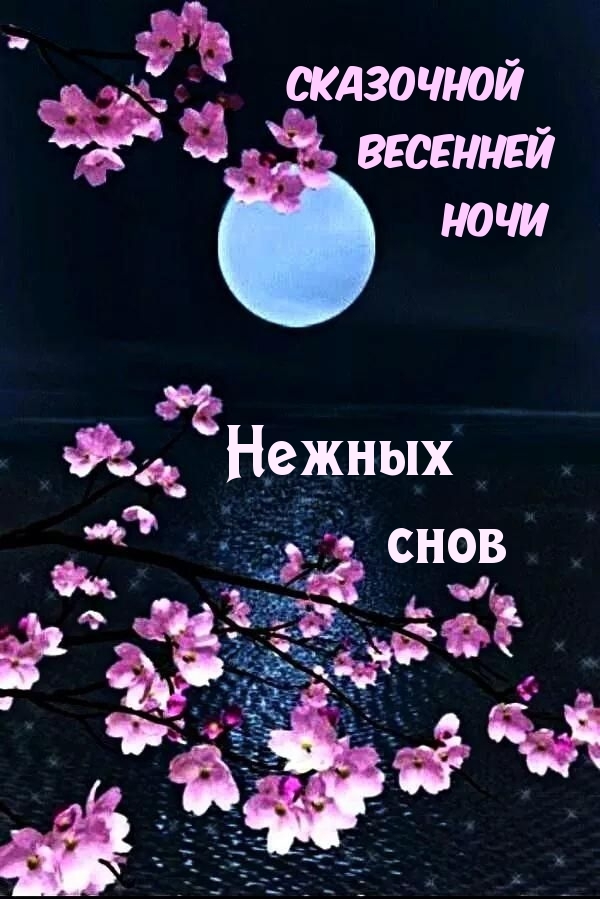   :     