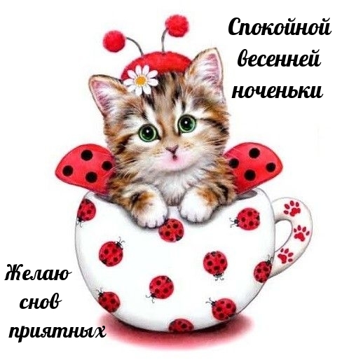   :      