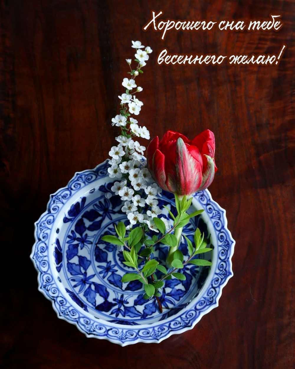 Хорошего сна тебе весеннего желаю!